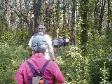 Hiking NCT FLT M21 North Country Trail Conference 2001 Stoney Pond Hike-03